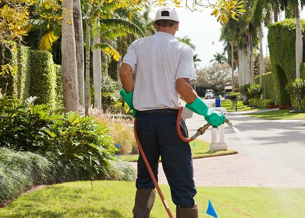 About Meadow Grove NE Pest Control Pros